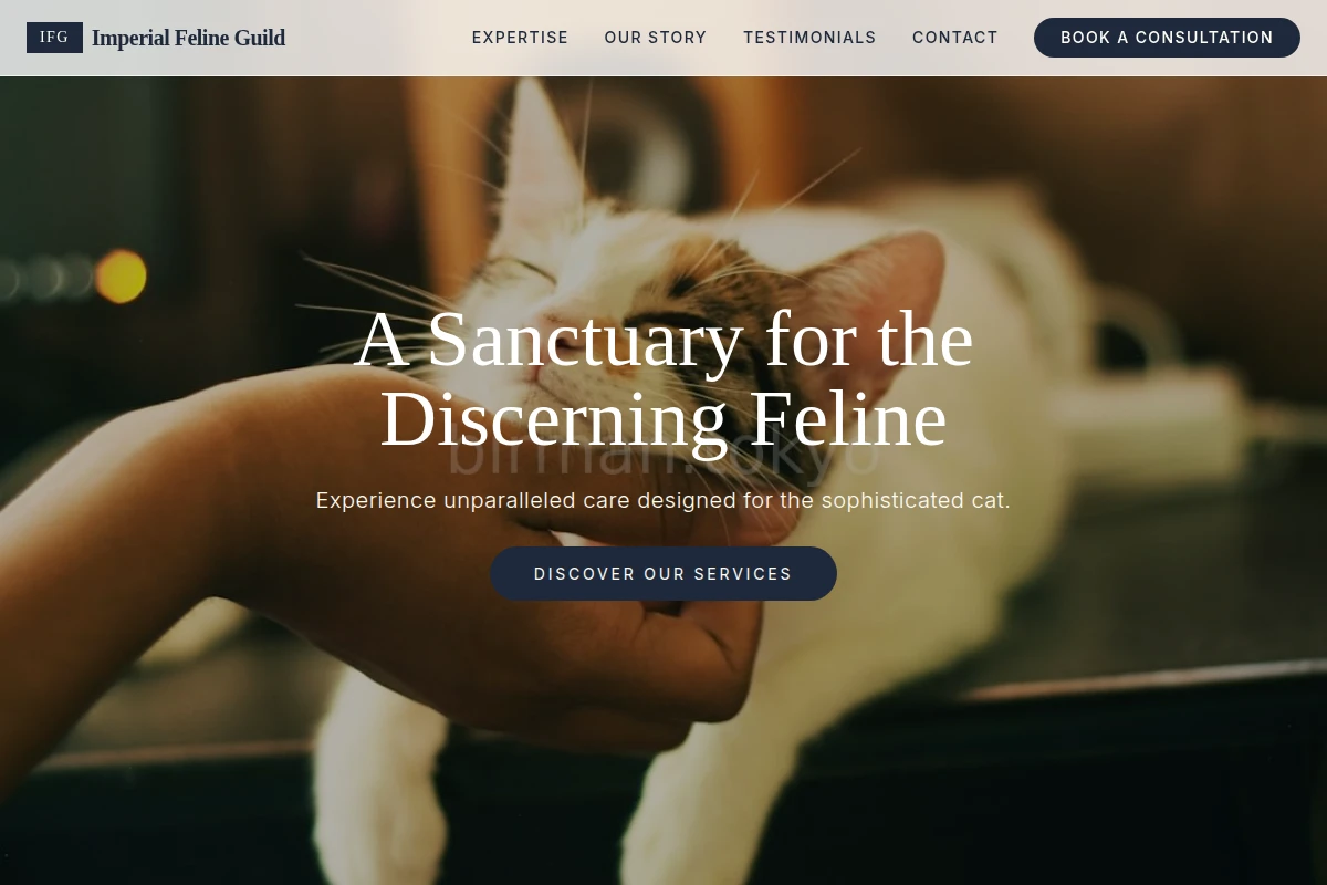 Feline Animal Care