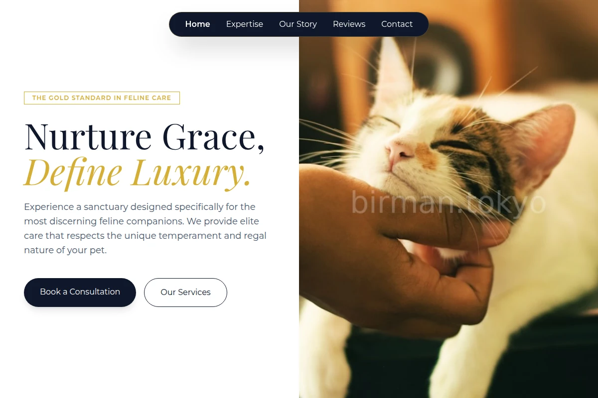 Plush Animal Care