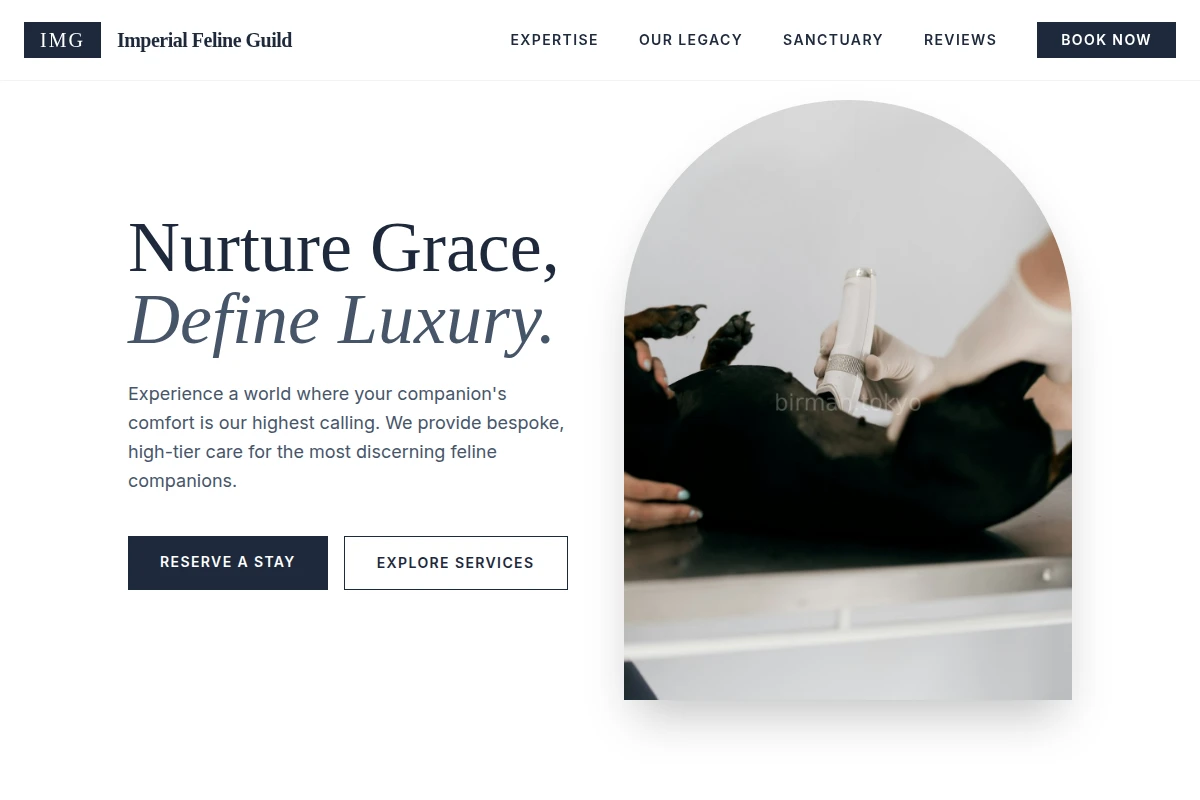 Velvet Animal Care