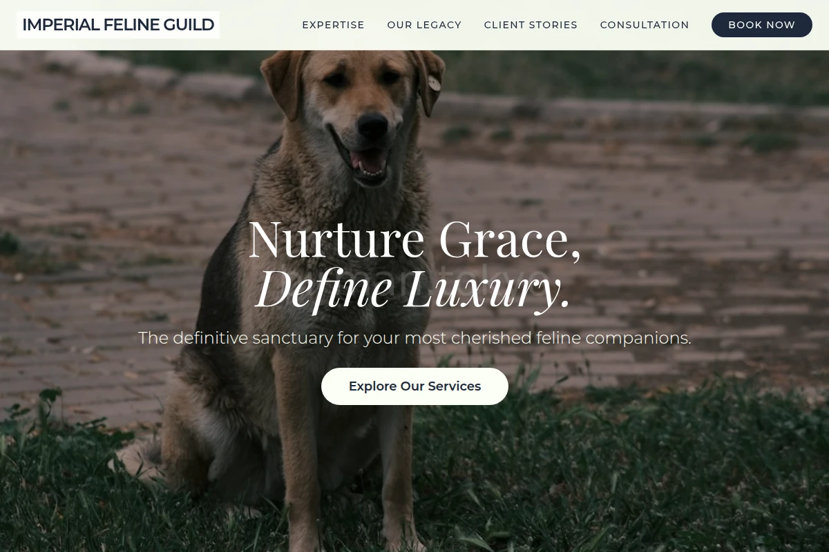 Velvet Animal Care
