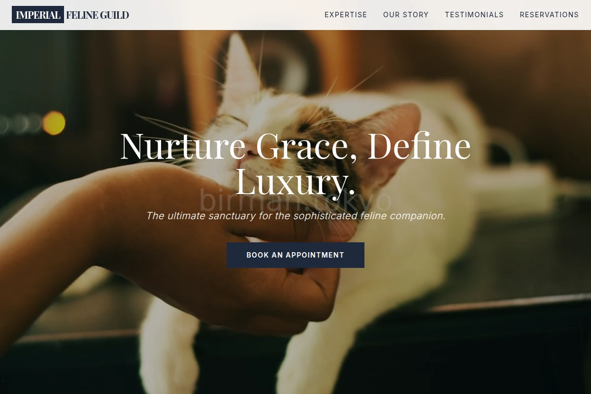 Play Animal Care