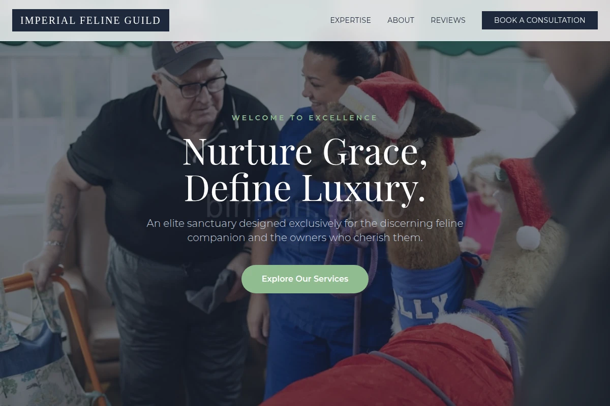 Collar Animal Care