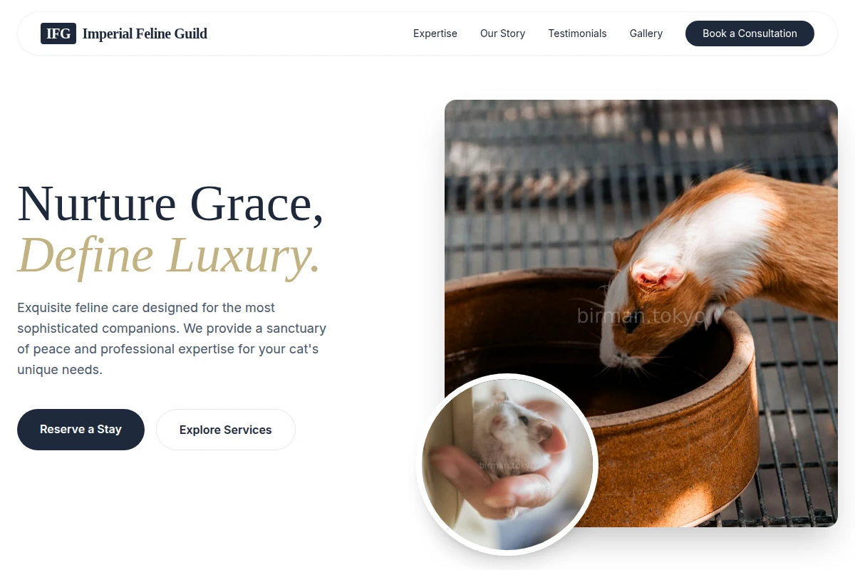 Muse Animal Care