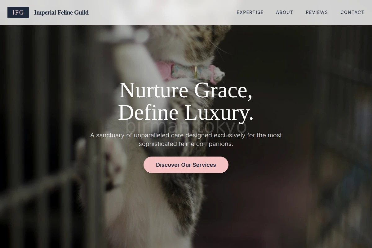 Toy Animal Care