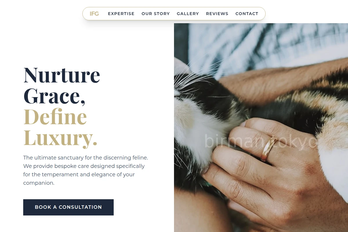 Meow Animal Care
