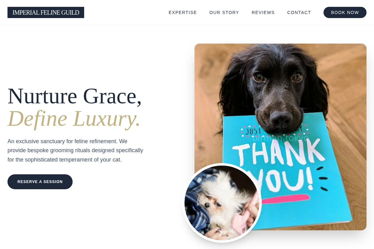 Premium Animal Care Website Design