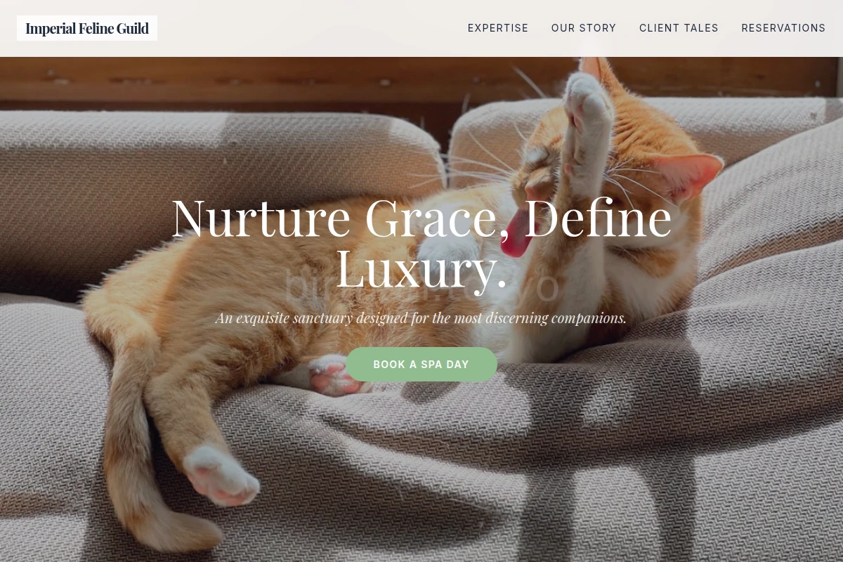 Grace Pet Grooming