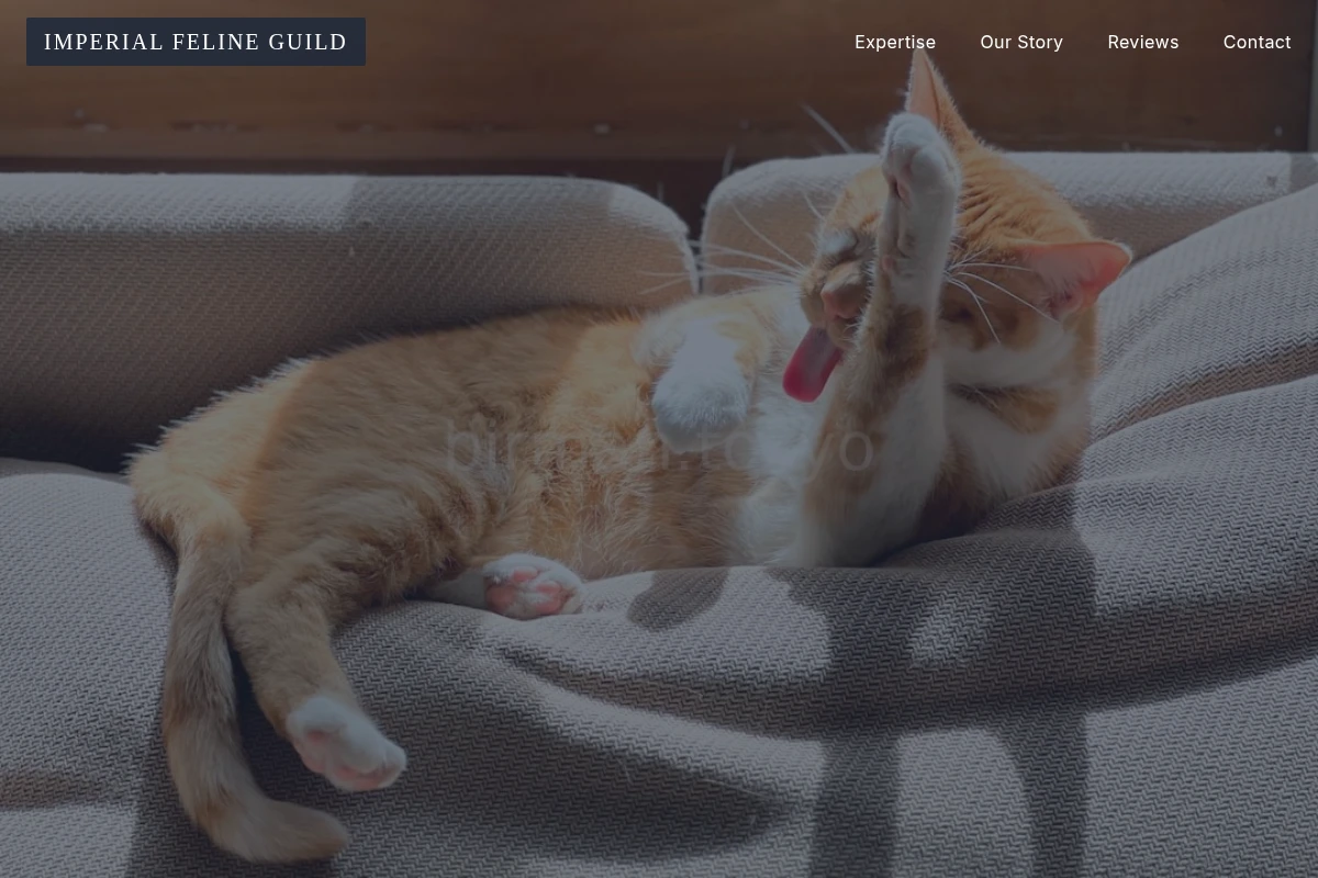 Play Pet Grooming