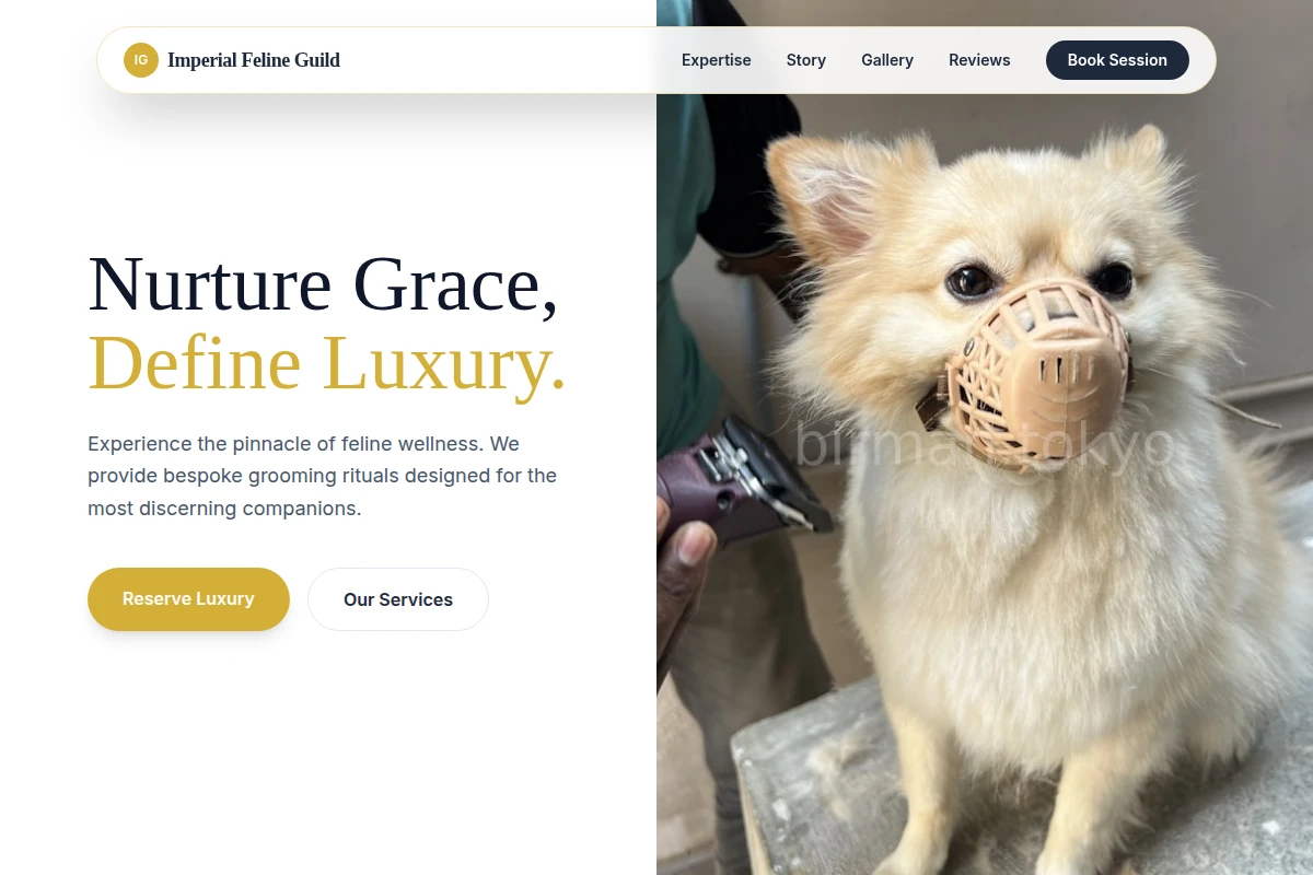 Coat Pet Grooming