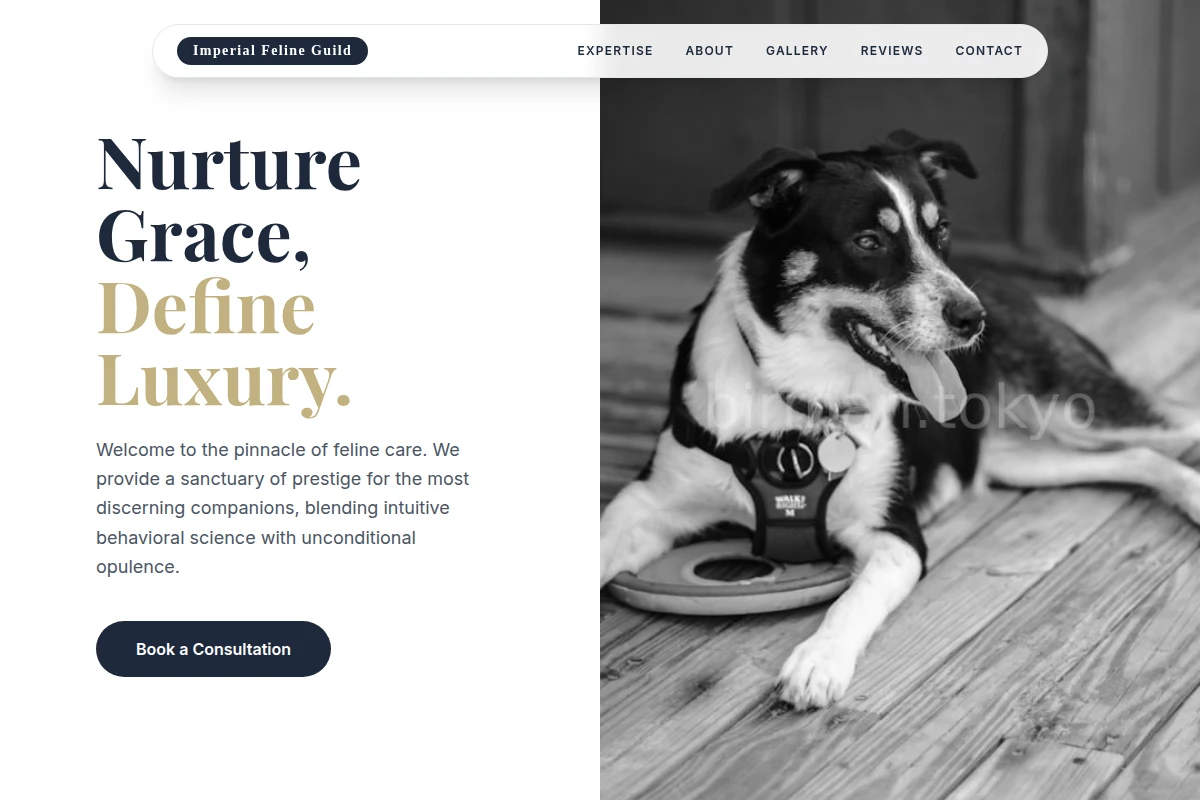 Silver Pet Services