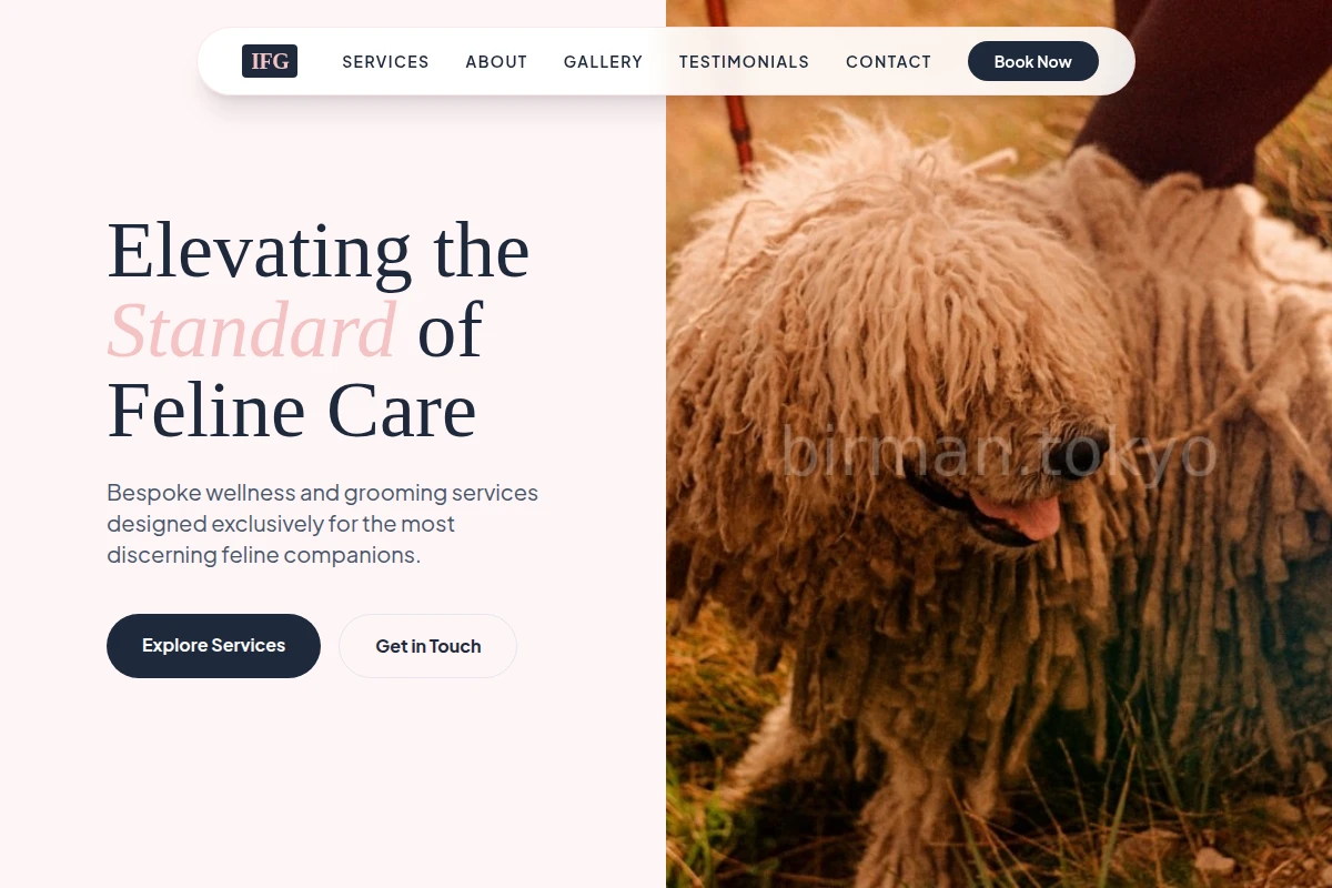 Paw Pet Services