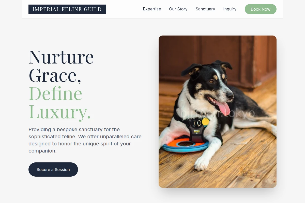 Aura Pet Services