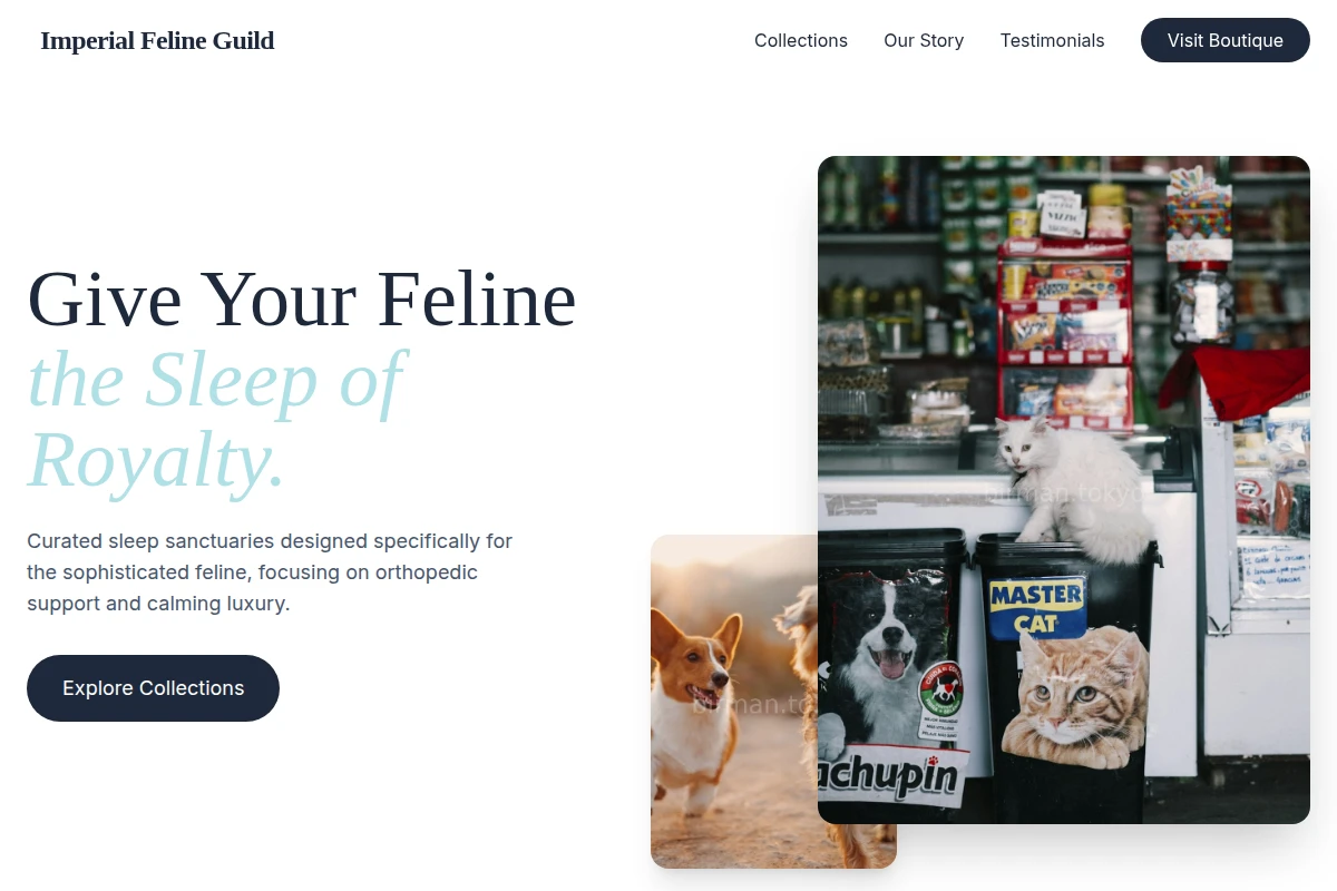 Sleep Pet Shop